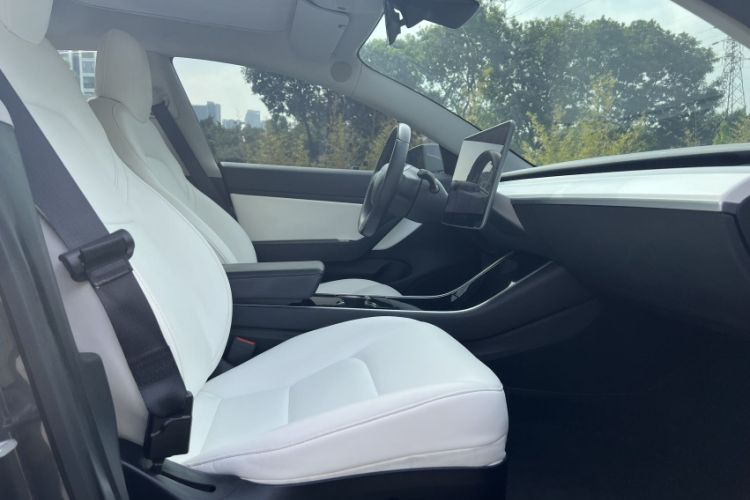 Used Tesla Model 3 (Import) 2019 Long-Range Rear-Wheel-Drive Version