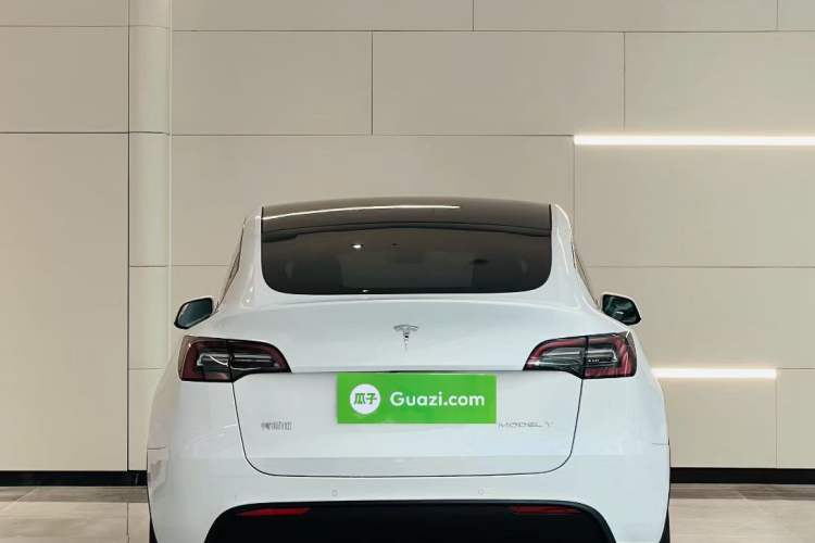 Used Tesla Model Y 2022 Revised Version Long-Range All-Wheel Drive