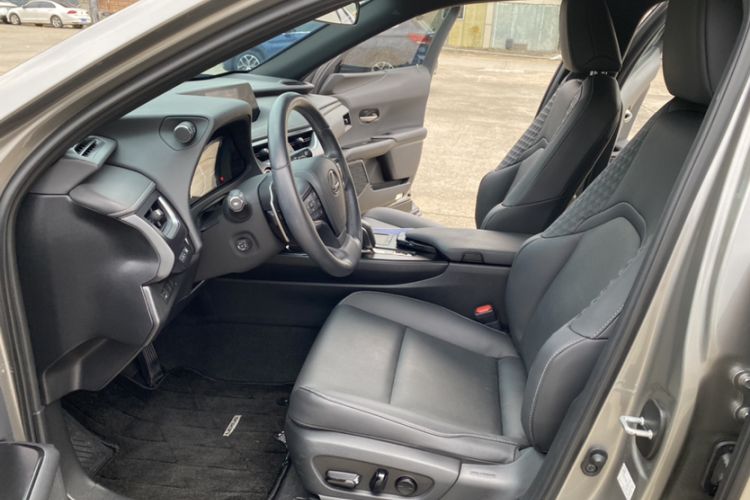 Used Lexus UX New Energy 2020 300e Pure·Joy Edition