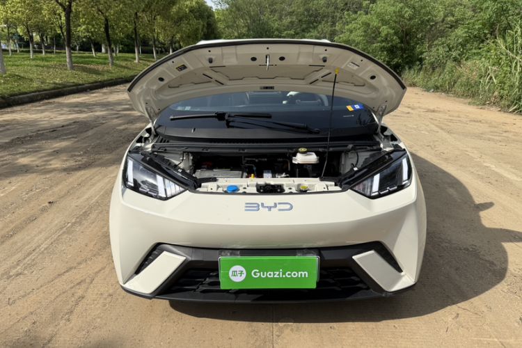 Used BYD Seagull 2023 Free Edition
