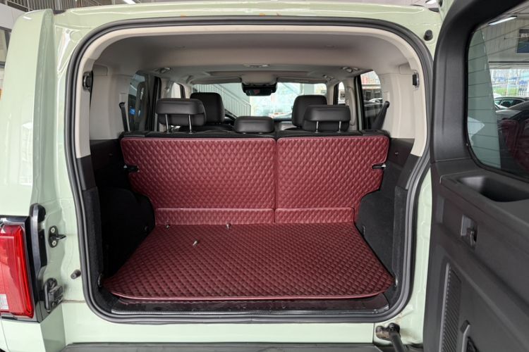 Used Tank 300 2021 City Edition 2.0T—Truly Stylish