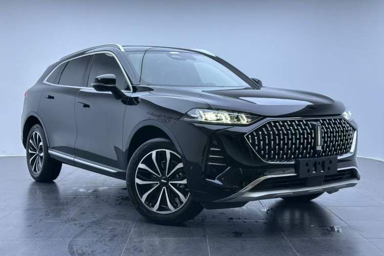 Used Wey Mocha 2021 2.0T Two-Wheel-Drive Premium Edition