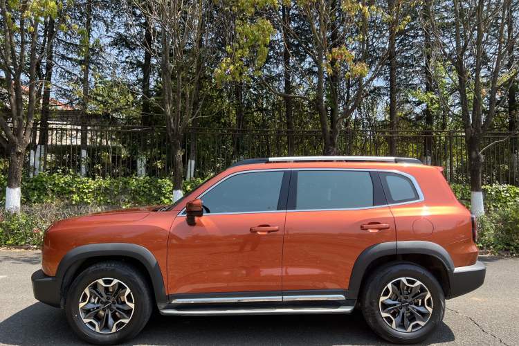 Used Haval DARGO 2021 2.0T DCT 4x4 Chinese Rural Dog Edition