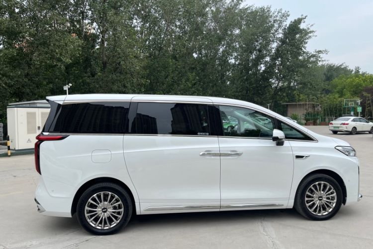 Used Wey Gaoshan 2023 Four-Wheel Drive Flagship Edition
