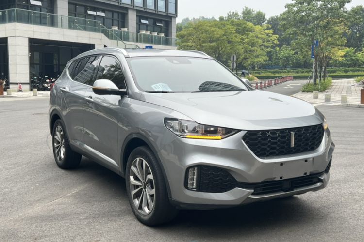 Used Wey VV6 2018 2.0T Two-Wheel Drive Flagship Version China V Standard