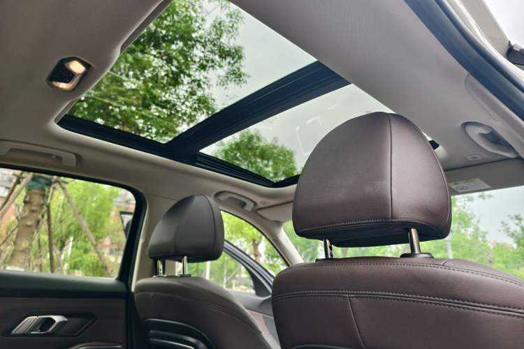 Used BMW 3 Series 2020 320Li M Sport Package Headliner