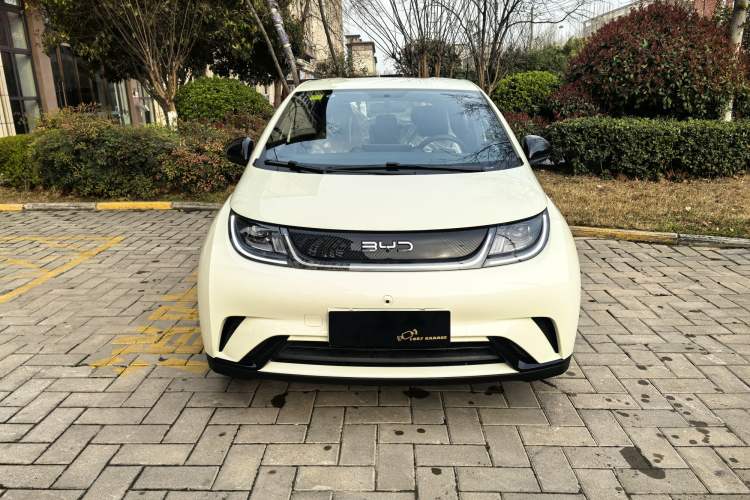 Used BYD Dolphin 2025 420km Free Edition
