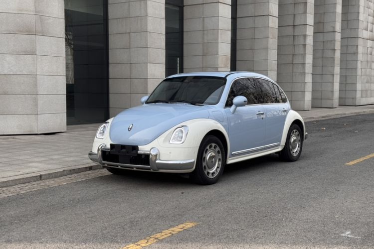 Used ORA Ballet Cat 2023 401 km Luxury Version