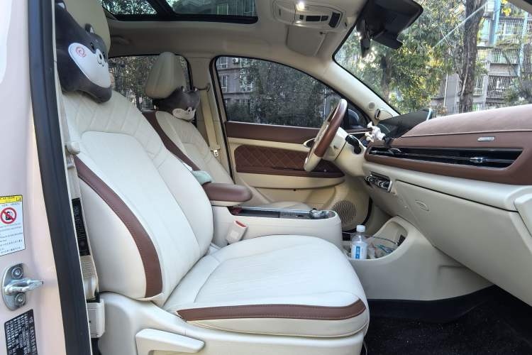 Used ORA Good Cat 2021 400km Standard Range Athena Edition Lithium-Ion Battery
