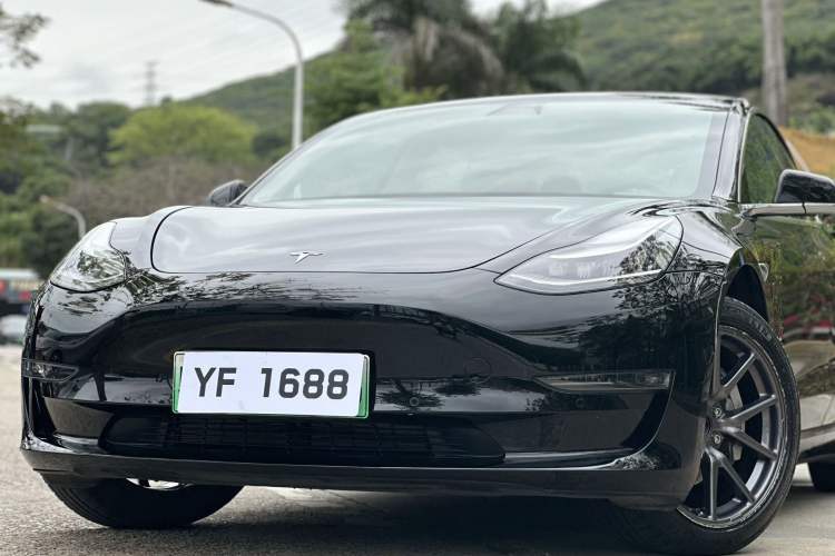 Used Tesla Model 3 2019 Long-Range Rear-Wheel-Drive Version Exterior 9