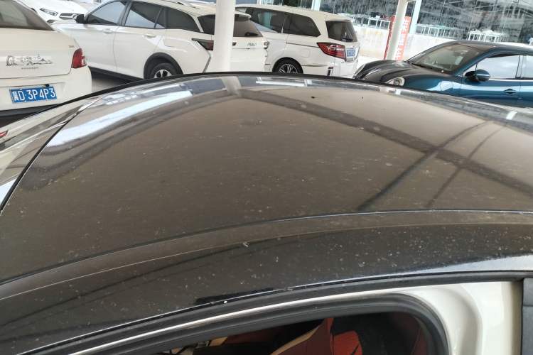 Used SOL E10X 2022 Flower Fairy Design Four-Leaf Clover