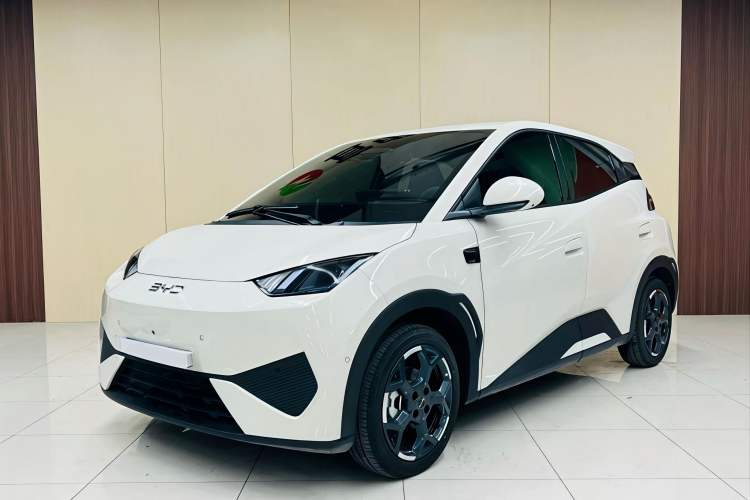 Used BYD Seagull 2025 Smart Drive Version 305 km Freedom Edition