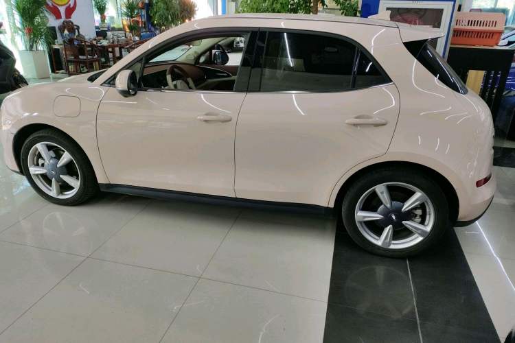 Used ORA Good Cat 2023 401 km Standard Range Luxury Version Lithium Iron Phosphate
