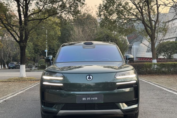 Used Denza N9 2025 Flagship Model