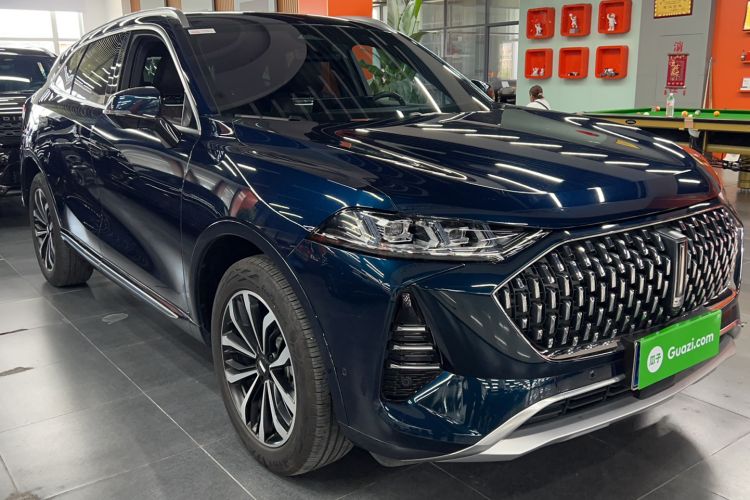 Used Wey Mocha 2021 2.0T Four-Wheel Drive Premium Edition