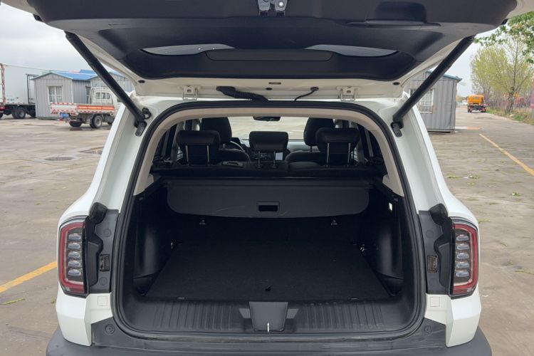 Used Haval DARGO 2022 2.0T DCT 4x4 Chinese Rural Dog Edition Trunk
