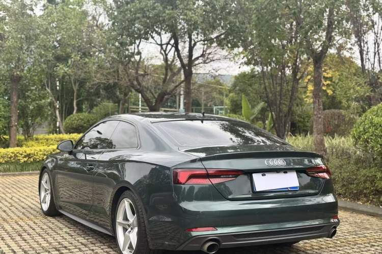 Used Audi A5 2017 Coupe 40 TFSI Fashion Model