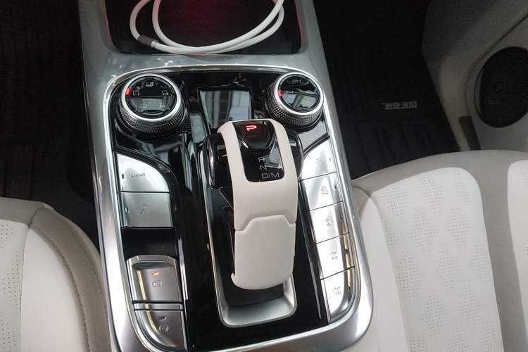 Used Cyberspace Tank 300 2021 2.0T Cyber Tank