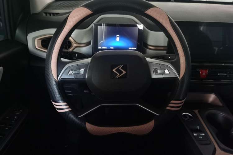 Used SOL  2022 Flower Fairy Design Four-Leaf Clover
