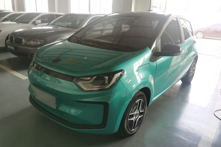 Used SOL 2022 Flower Fairy Design Four-Leaf Clover