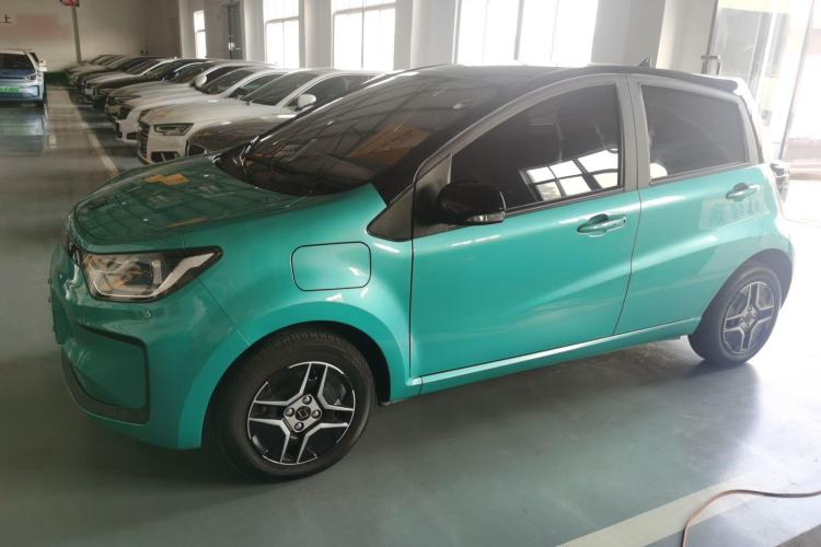 Used SOL  2022 Flower Fairy Design Four-Leaf Clover
