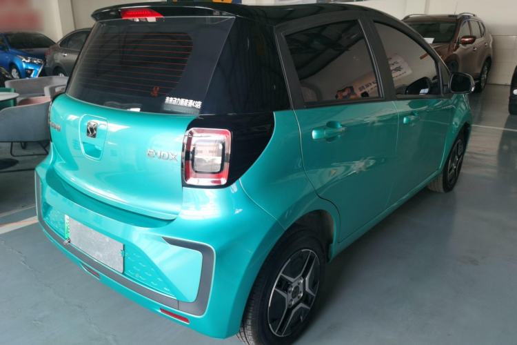 Used SOL  2022 Flower Fairy Design Four-Leaf Clover
