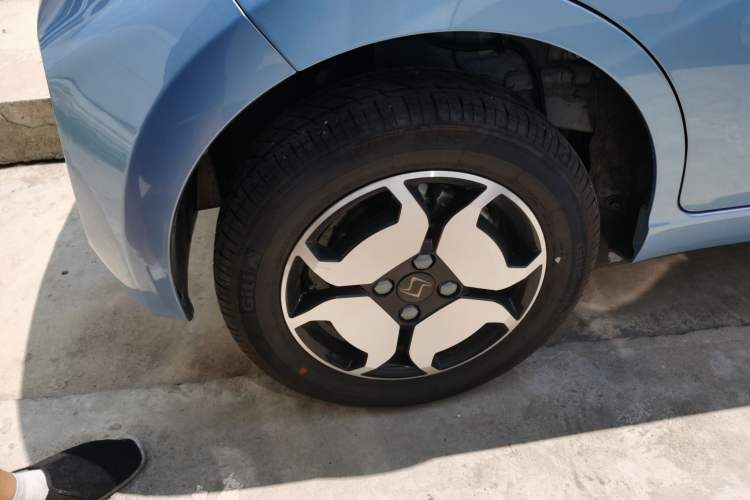 Used SOL  2022 Flower Fairy Style Baby's Breath