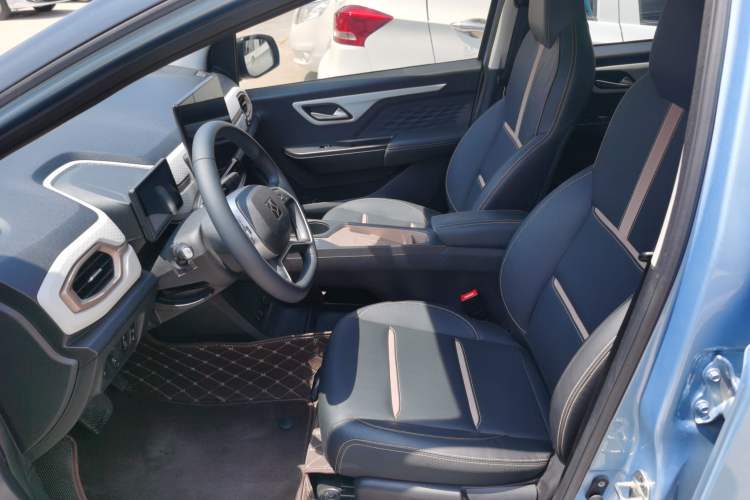 Used SOL  2022 Flower Fairy Style Baby's Breath