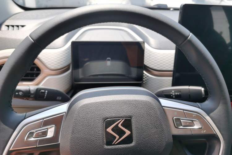 Used SOL  2022 Flower Fairy Style Baby's Breath