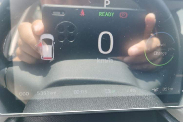 Used SOL  2022 Flower Fairy Style Baby's Breath