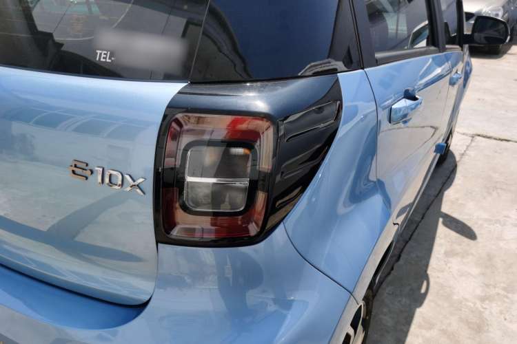 Used SOL  2022 Flower Fairy Style Baby's Breath