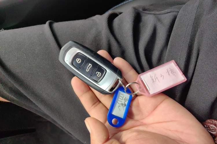 Used Geely Auto Emgrand New Energy 2018 EV450 Prestige Model Vehicle Key