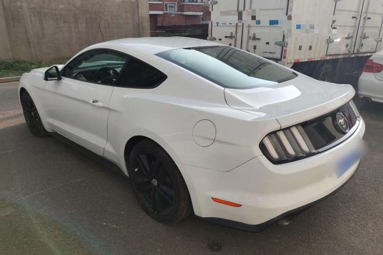 Used Ford Mustang 2015 2.3T 50th Anniversary Edition
