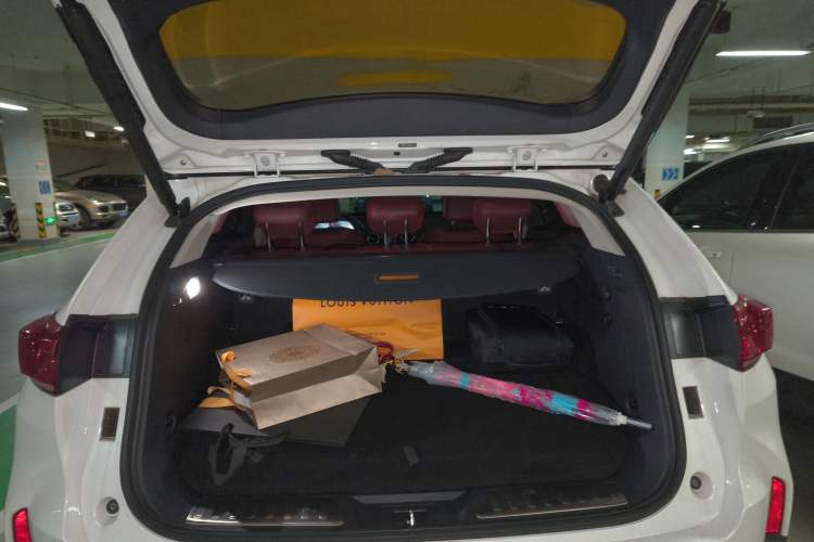 Used Wey P8 2018 2.0T Flagship Model