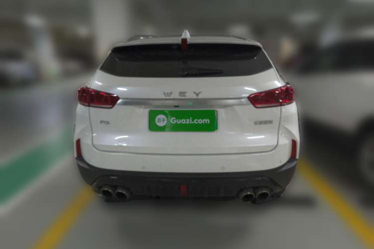 Used Wey P8 2018 2.0T Flagship Model