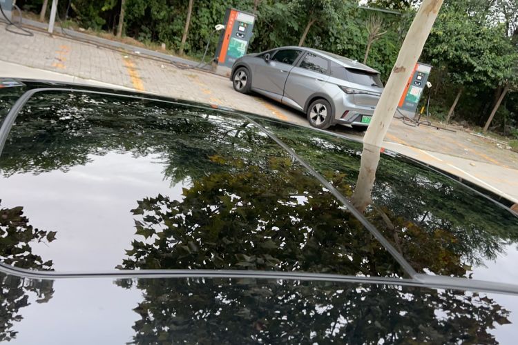 Used Ford Taurus 2019 EcoBoost 245 Comfort Edition