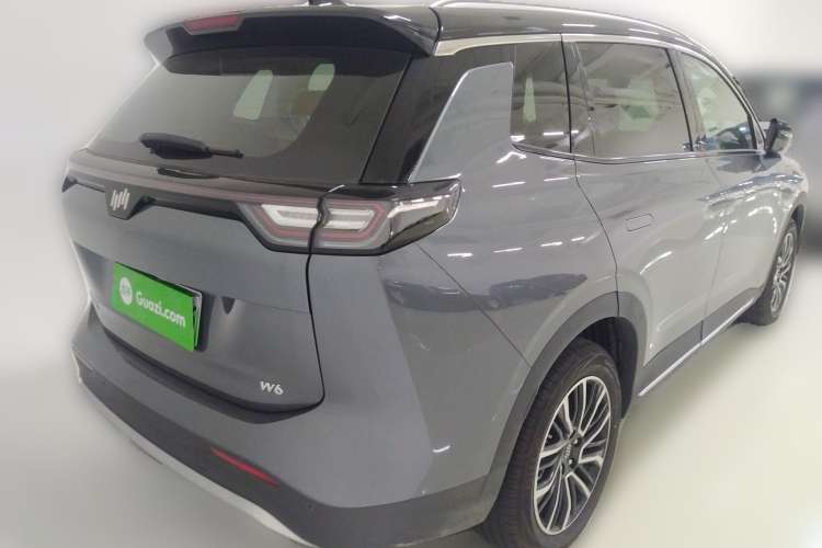 Used WM Motor W6 2021 520km PRO All-Round Edition