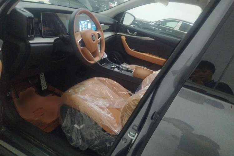 Used WM Motor W6 2021 520km PRO All-Round Edition