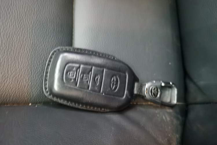 Used Toyota Corolla Hybrid E+ 2019 1.8L E-CVT Luxury Edition