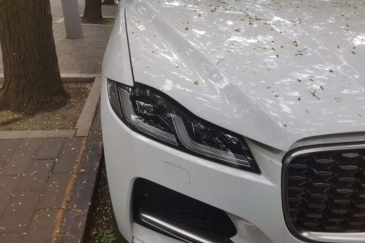 Used Jaguar F-PACE 2022 P250 HSE