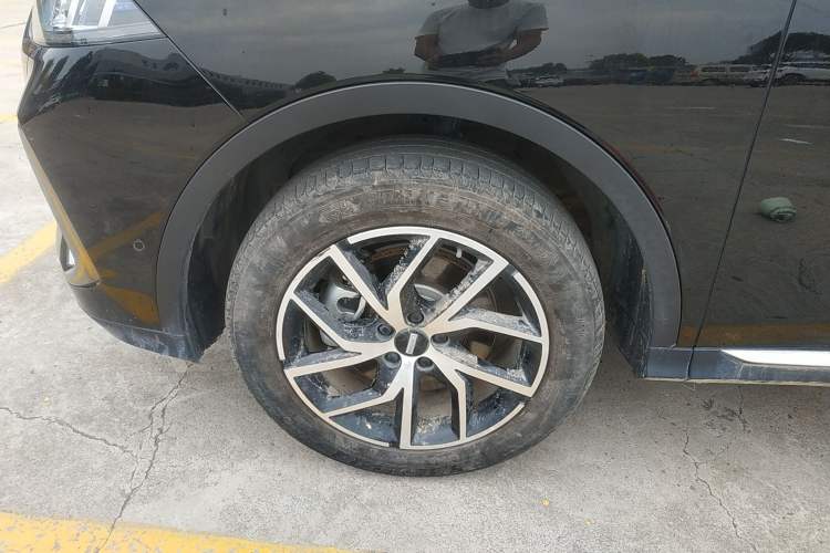 Used Wey Latte DHT-PHEV 2022 1.5T Two-Wheel-Drive Extra-Large Version
