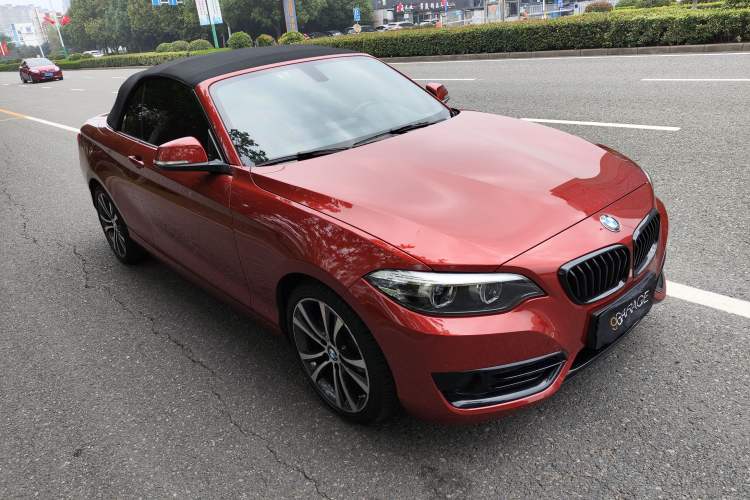 Used BMW 2 Series 2019 225i Convertible Coupe Sports Design Package