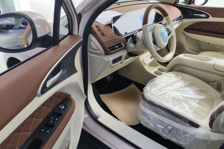 Used ORA Good Cat 2023 501 km Long-Range Luxury Version Lithium Iron Phosphate
