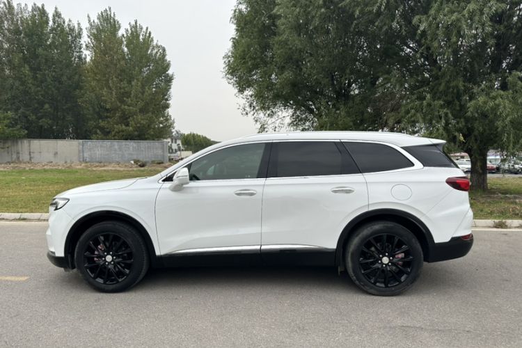 Used Buick Enclave 2020 28T Four-Wheel Drive Flagship Version