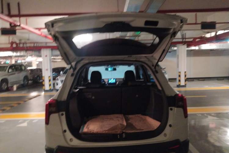 Used Venucia T60 2018 1.6L CVT Smart Edition (ISS) China VI
