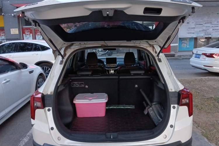 Used Venucia T60 2018 1.6L CVT Smart Edition China V Standard
