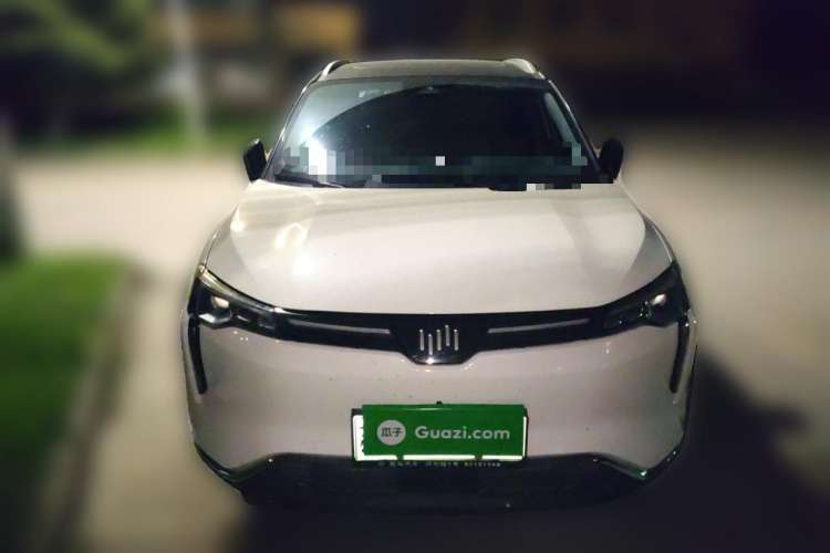 Used WM Motor W6 2021 520km PRO All-Round Edition