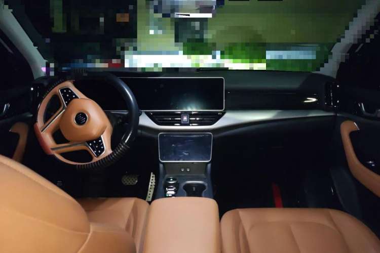 Used WM Motor W6 2021 520km PRO All-Round Edition