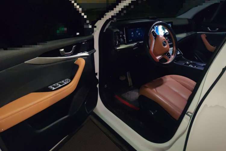 Used WM Motor W6 2021 520km PRO All-Round Edition