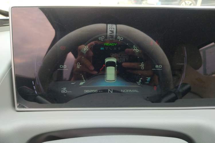 Used ORA White Cat 2020 360 km Luxury Version
